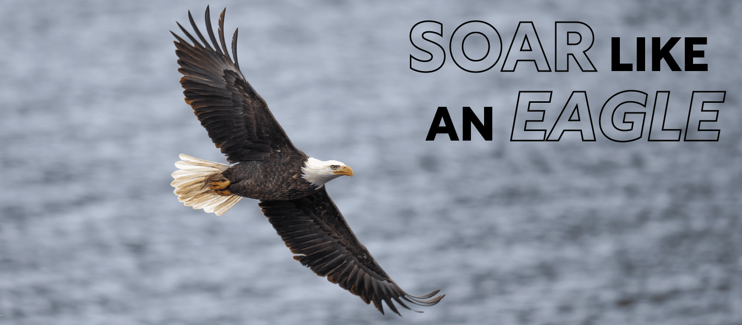 Soar like an eagle