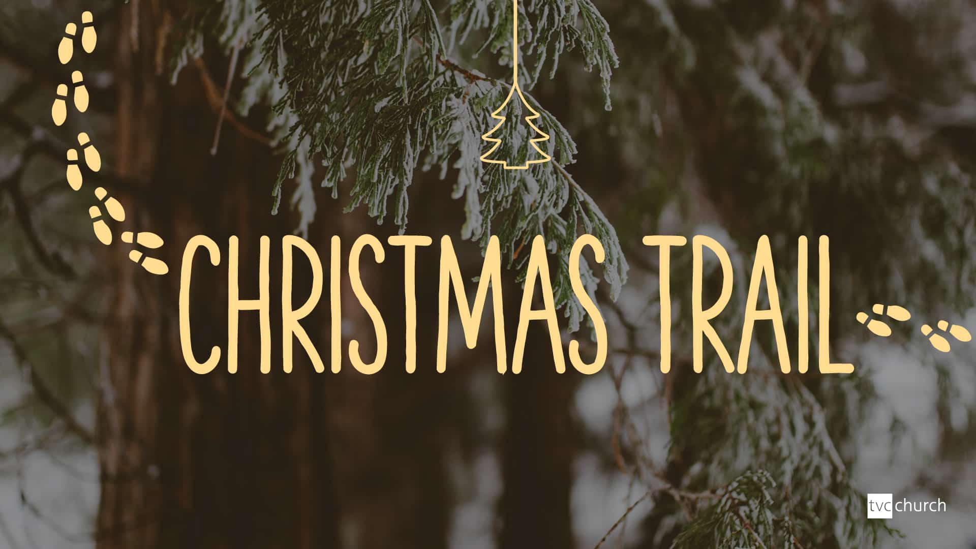 Christmas Woodland Trail